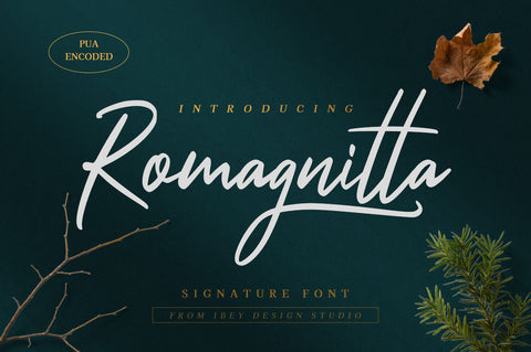 Romagnitta - Signature Font Font Ibey Design 