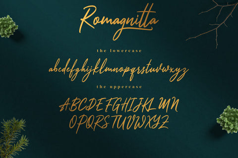 Romagnitta - Signature Font Font Ibey Design 