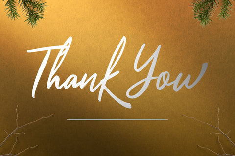 Romagnitta - Signature Font Font Ibey Design 