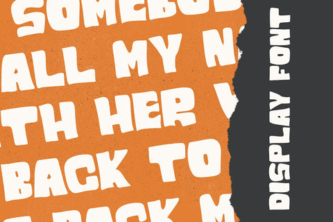 ROMAN SHINE - Display Sans Font Font StringLabs 