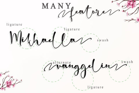 Romantic Blossom Font Stefani Letter 