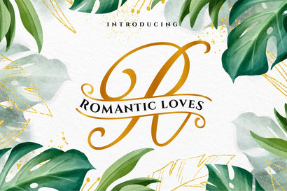 Romantic Loves Monogram Font toni_std 