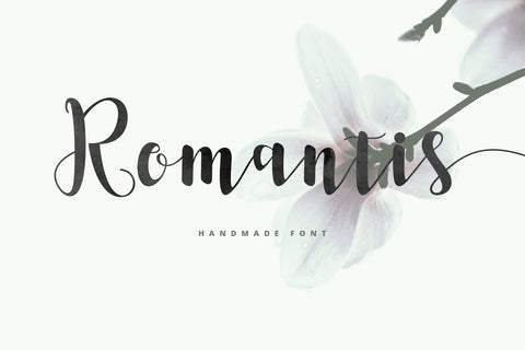 Romantis Script Font Fadeline Std. 