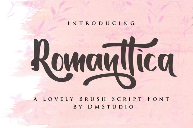 Romanttica - Modern Script Brush Font Font Dm Letter Studio 