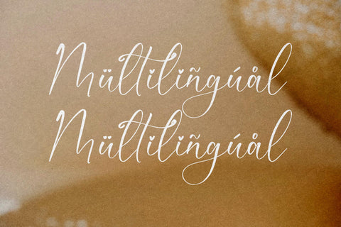 Romanttyca Bellmonde - Beauty Script Font Font Storytype Studio 