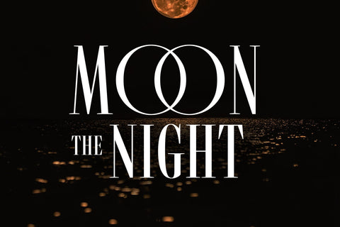 Romavich – Modern Serif Font Arterfak Project 