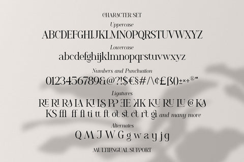 Romelu Vomelu - Modern Serif Font Arterfak Project 