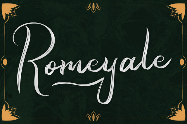 Romeyale | Textured Brush Script Font Font Katario Studio 