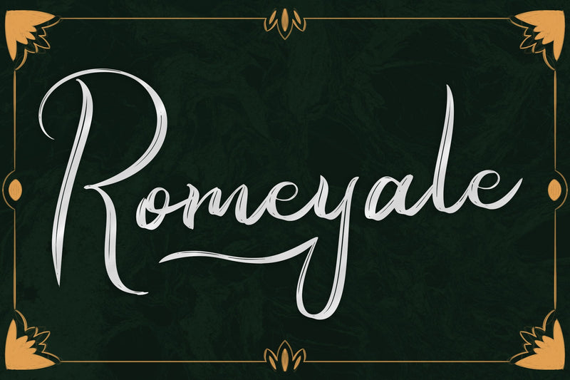 Romeyale | Textured Brush Script Font Font Katario Studio 