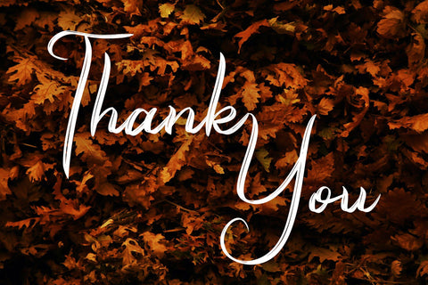 Romeyale | Textured Brush Script Font Font Katario Studio 