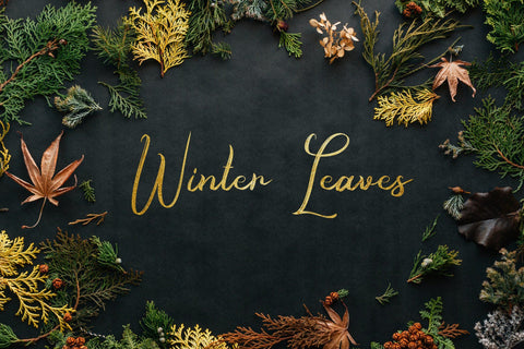 Romeyale | Textured Brush Script Font Font Katario Studio 