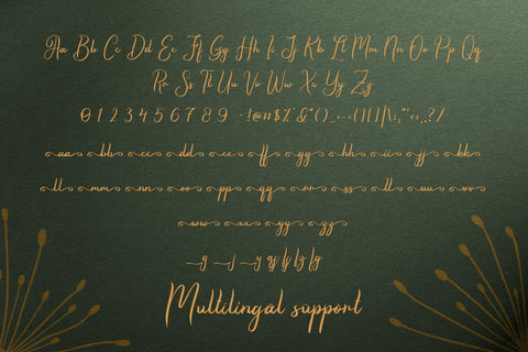 Romeyale | Textured Brush Script Font Font Katario Studio 