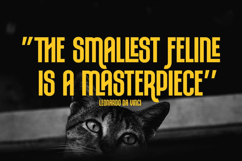 Rompies Font Arterfak Project 