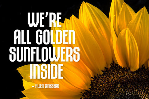 Rompies Font Arterfak Project 