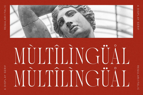 Ronachy Typeface Font Storytype Studio 