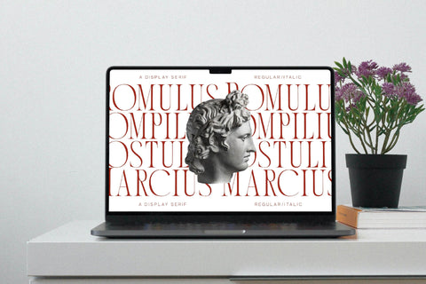 Ronachy Typeface Font Storytype Studio 