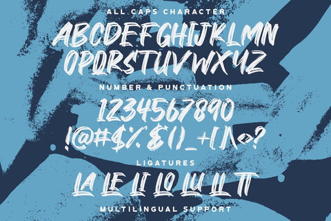 Ronald Charis - Textured Brush Font Font StringLabs 