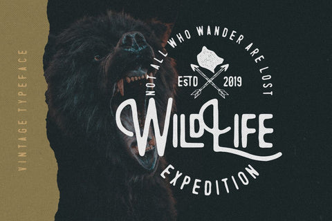 Rontrelan Monoline Vintage Font Creatype Studio 