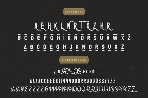 Rontrelan Monoline Vintage Font Creatype Studio 