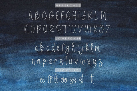 Rookey Fun Handwritten Font Balevgraph Studio 