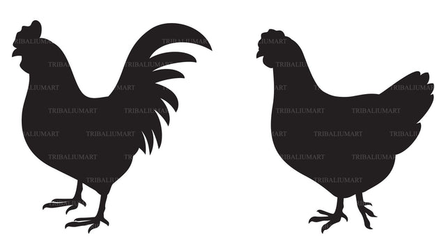 Rooster and chicken SVG TribaliumArtSF 