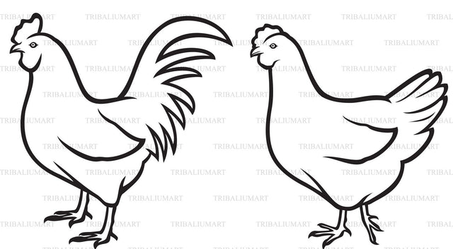 Rooster and chicken SVG TribaliumArtSF 