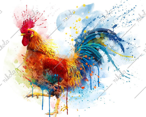 Rooster Watercolor Sublimation Clipart PNG JPG Sublimation nikola 