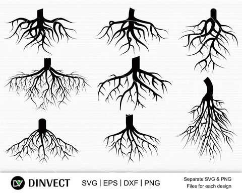 Roots SVG, Roots SVG Bundle, Tree roots SVG, family tree svg, Roots Vector, Roots Clipart, roots silhouette, Cricut cut files, svg, eps, dxf, png SVG Dinvect 