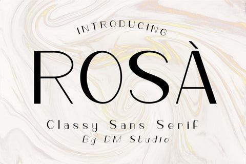 ROSÀ - Classy Sans Serif Font Dm Letter Studio 