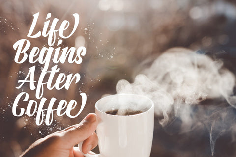 Rosalinda - Bold Script Font Font StringLabs 