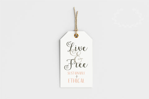 Rose & Hawk Font Sunday Nomad 