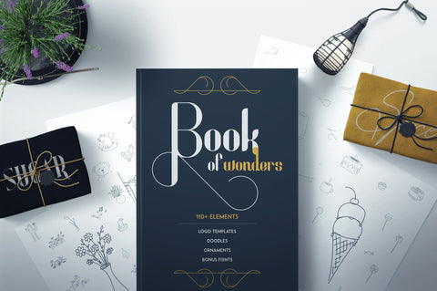 RoseGold Serif font + 10 Logos Font VPcreativeshop 