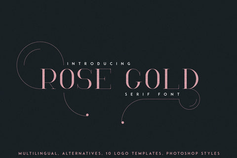 RoseGold Serif font + 10 Logos Font VPcreativeshop 