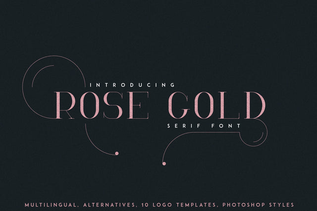 RoseGold Serif font + 10 Logos Font VPcreativeshop 
