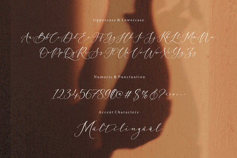 Rosekiller Modern Handwritten Font Font Letterative 