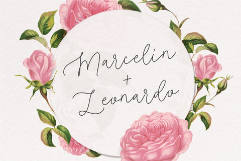 Roseline Font Font Balpirick 