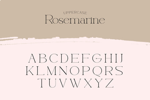 Rosemarine - Elegant and Clean Serif Font Font ahweproject 