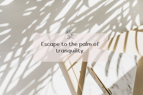 Rosemary Font Cotton White Studio 