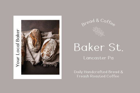 Rosemary Font Cotton White Studio 