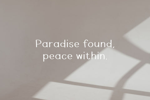 Rosemary Font Cotton White Studio 