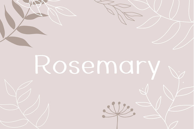 Rosemary Font Cotton White Studio 
