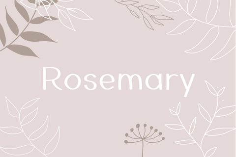 Rosemary Font Cotton White Studio 