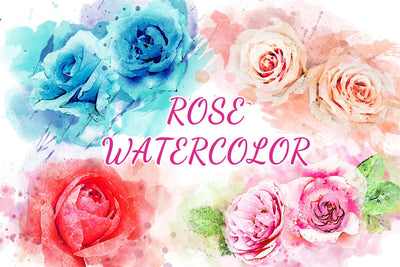 Roses Watercolor Clipart Sublimation Flowers PNG Sublimation nikola 