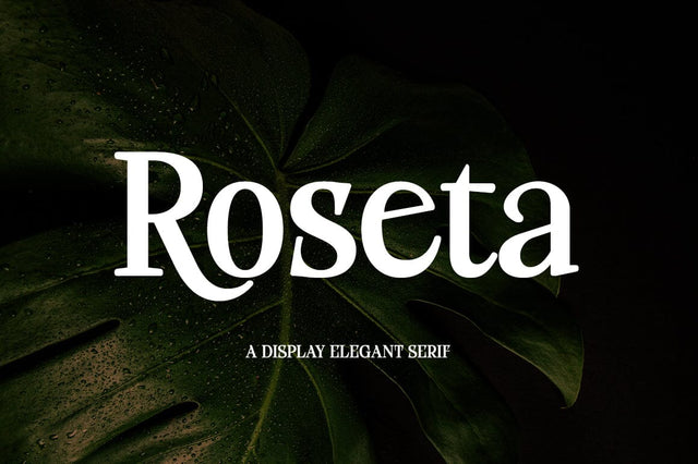 Roseta Display Font gatype 