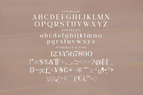 Rosha Keylin Typeface Font Storytype Studio 