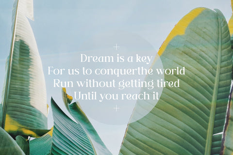 Rosha Keylin Typeface Font Storytype Studio 