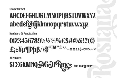 Rosiana - Modern Serif Font Arterfak Project 