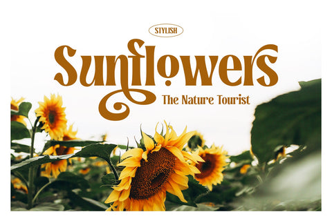 Rosiana - Modern Serif Font Arterfak Project 