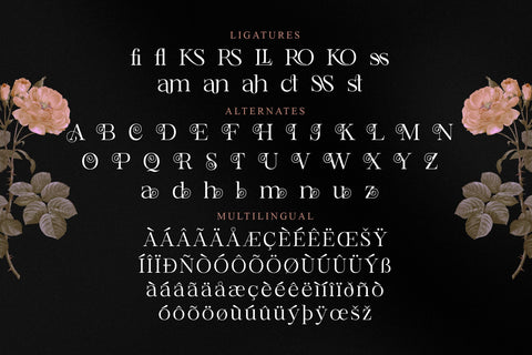 ROSSELA Typeface Font Storytype Studio 