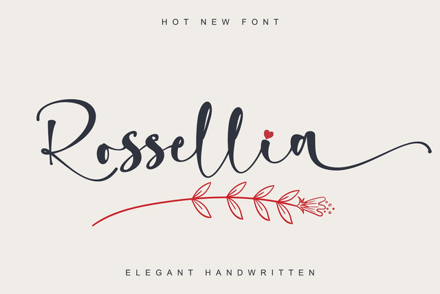 Rossellia Font Stefani Letter 